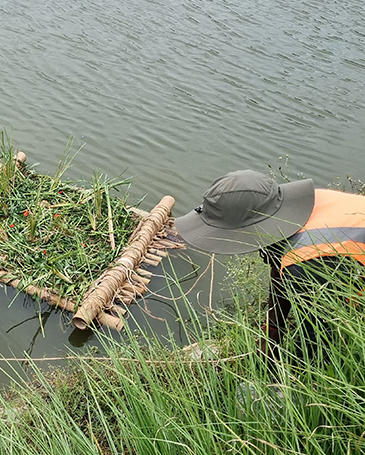 EcoGram project - Environment