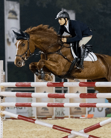 Equestrian Competition