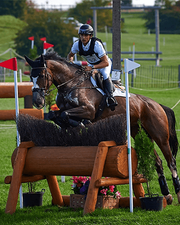 Embassy International Riding School - Gallery Image