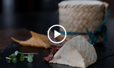 SANCHEZ RESTAURANTE AND CANTINA, UB CITY