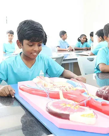 Project in Embassy Academy