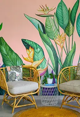 Olive - Coliving Properties