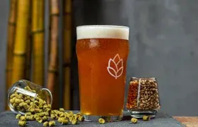 HOPSHAUS, BOTANICAL BREWERY & KITCHEN