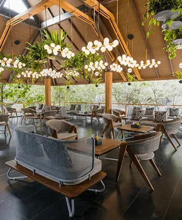 Hopshaus Botanical Brewery &amp; Kitchen Bangalore – immersive dining experience with craft beer and gourmet cuisine