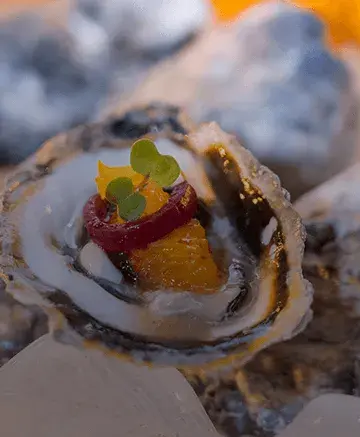 Oyster - Bespoke Catering